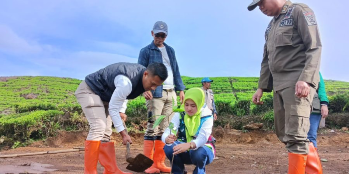 Peringati HMPI 2023, Camat Rancabali dan Jajarannya Menanam 1.200 Pohon di Wisata Kampung Regang