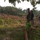 Akibat Longsor 10 Warga Kampung Gintung Hilang dan 25 Rumah Rusak Parah