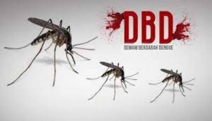 DBD di Kab Sumedang Capai 638, Dinkes Sumedang Ingatkan Masyarakat Gerakan Jumat Bersih