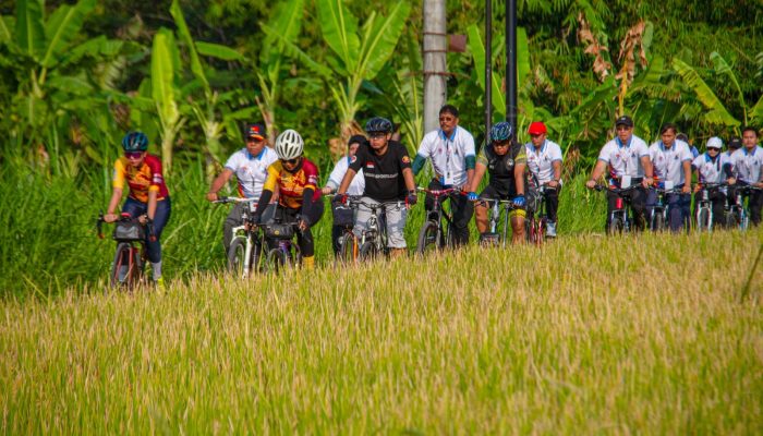 Ratusan Pesepeda Ikut Meramaikan Event Tour De Prambanan 2024