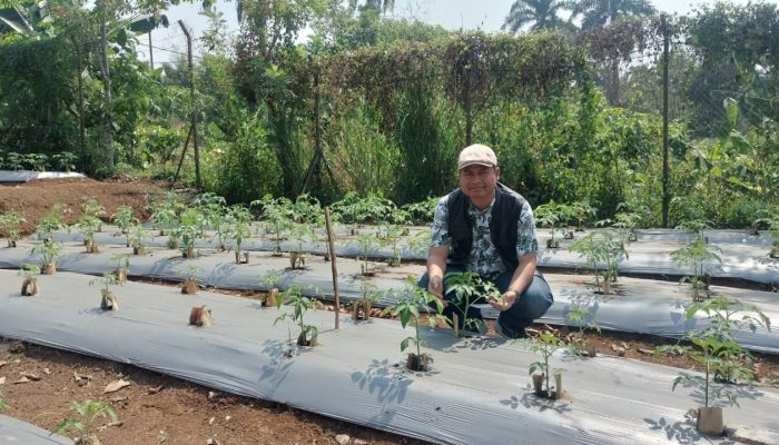 Direktur HSI Tekankan Kesejahteraan Petani Harus Diprioritaskan