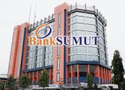 Komisaris Independen Bank Sumut, Khairy Hanim Rangkuti Mendadak Diberhentikan