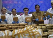 Kemenpora Perkuat Program Anti Narkoba, Fokus Selamatkan Pemuda